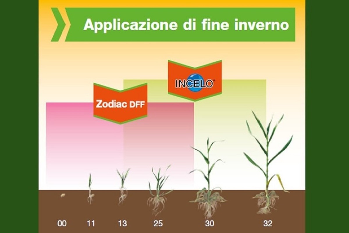 bayer-zodiac-inclo-posizionamento.jpg